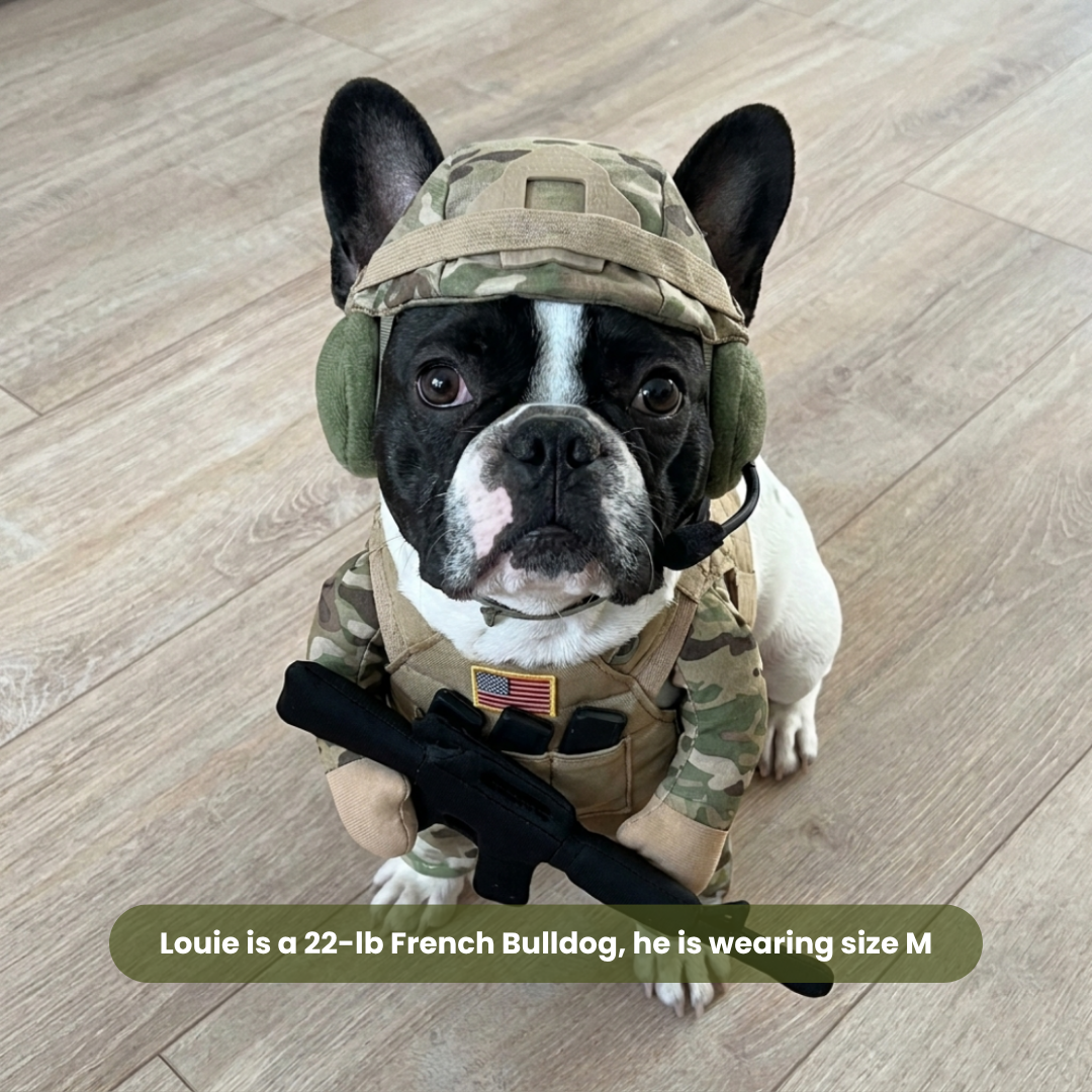 🐾 Funny Pet Soldier Costume – Walking Tactical-Style Dog Outfit