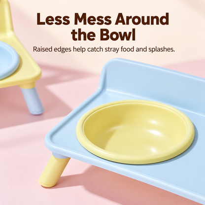 🐾 Raised 2-in-1 Pet Feeding Station with Removable Bowls 🥣