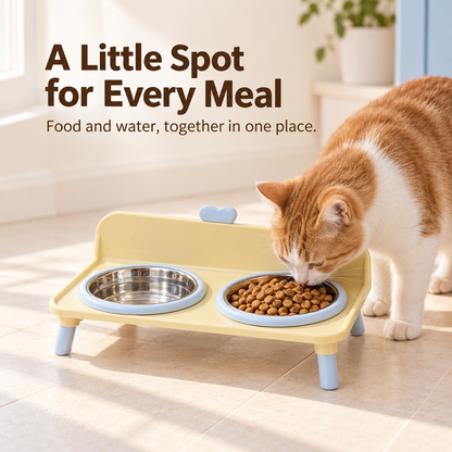🐾 Raised 2-in-1 Pet Feeding Station with Removable Bowls 🥣