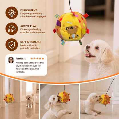 Interactive Hanging Dog Ball Toy with Elastic Play Rope & Hook
