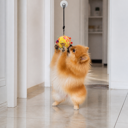 Interactive Hanging Dog Ball Toy with Elastic Play Rope & Hook