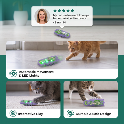 Interactive Electric Beetle Cat Toy with LED Lights and Automatic Moving Action