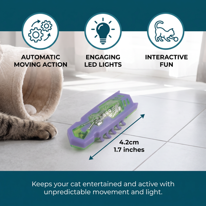 Interactive Electric Beetle Cat Toy with LED Lights and Automatic Moving Action