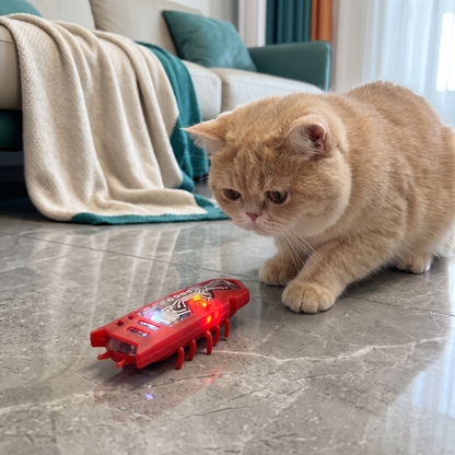 Interactive Electric Beetle Cat Toy with LED Lights and Automatic Moving Action