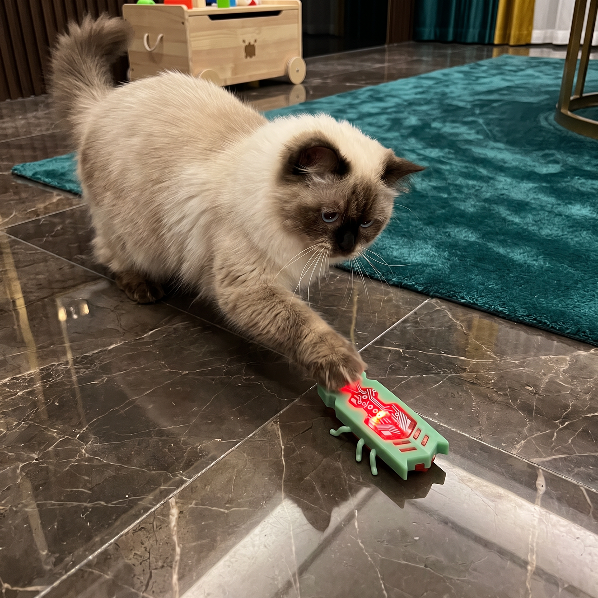 Interactive Electric Beetle Cat Toy with LED Lights and Automatic Moving Action