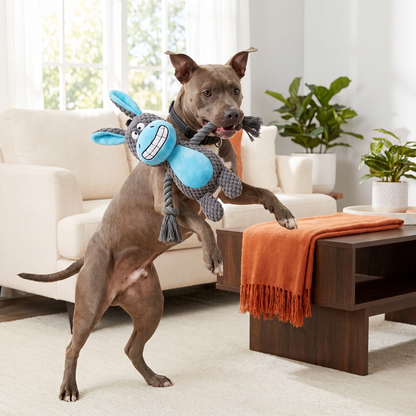 Cotton Rope Plush Dental Squeaky Dog Toy