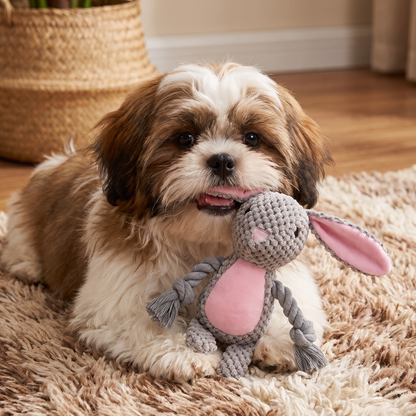 Cotton Rope Plush Dental Squeaky Dog Toy