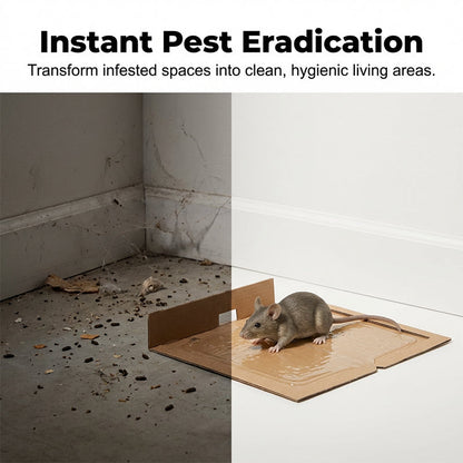 🐭 High-Viscosity Mouse & Rat Glue – Custom Pest Trap Adhesive