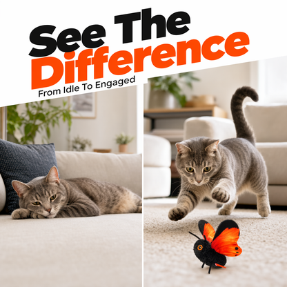 🦋 Interactive Fluttering Butterfly Electric Cat Teaser Toy 🐈