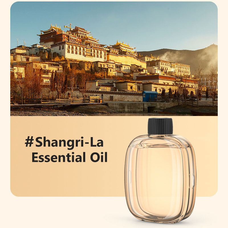 🌿 Smart Aromatherapy Diffuser – Rechargeable Automatic Fragrance Sprayer